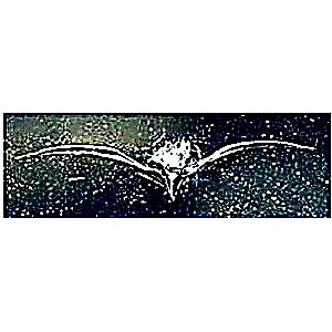 Angel wings chip on windshield