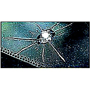 Edge crack on windshield