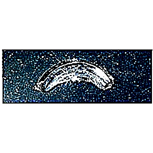 Half moon chip on windshield