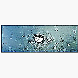 Pit chip on windshield