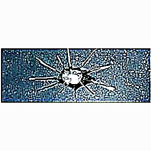 Star break on windshield